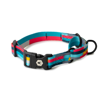 MixTape MARTINGALE DOG COLLAR