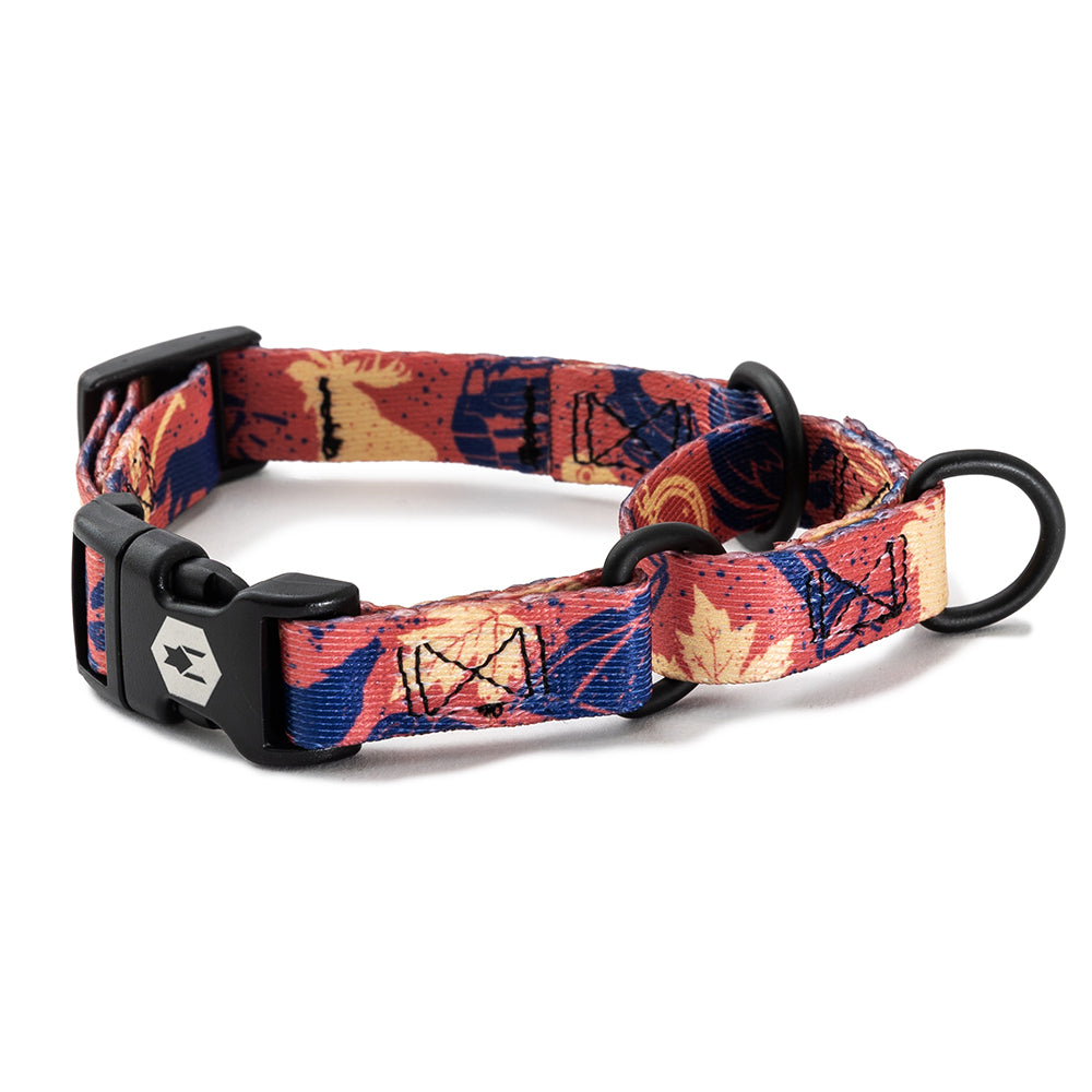 GreatOutdoors MARTINGALE DOG COLLAR