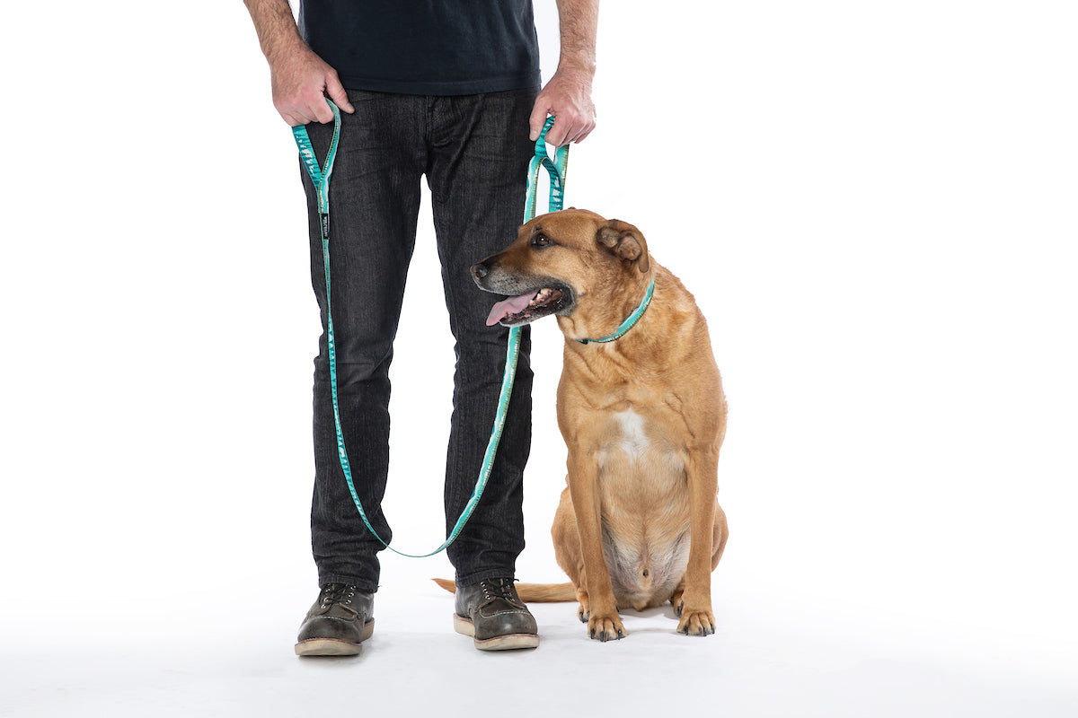 GreatEscape REACT DUAL-HANDLE DOG LEASH