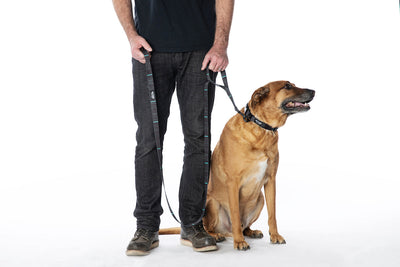 NightOwl REACT DUAL-HANDLE DOG LEASH