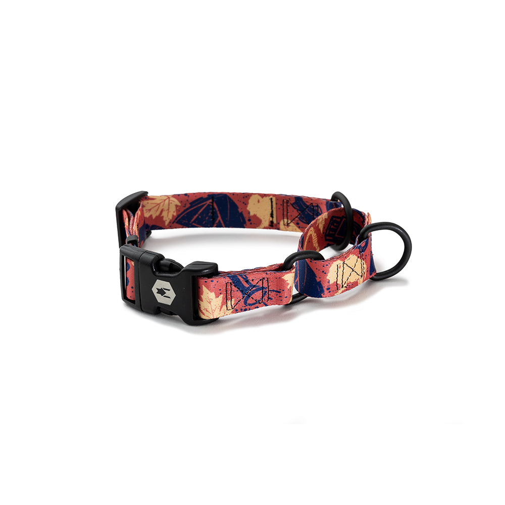 GreatOutdoors MARTINGALE DOG COLLAR