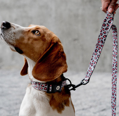 CoolCat REACT DUAL-HANDLE DOG LEASH