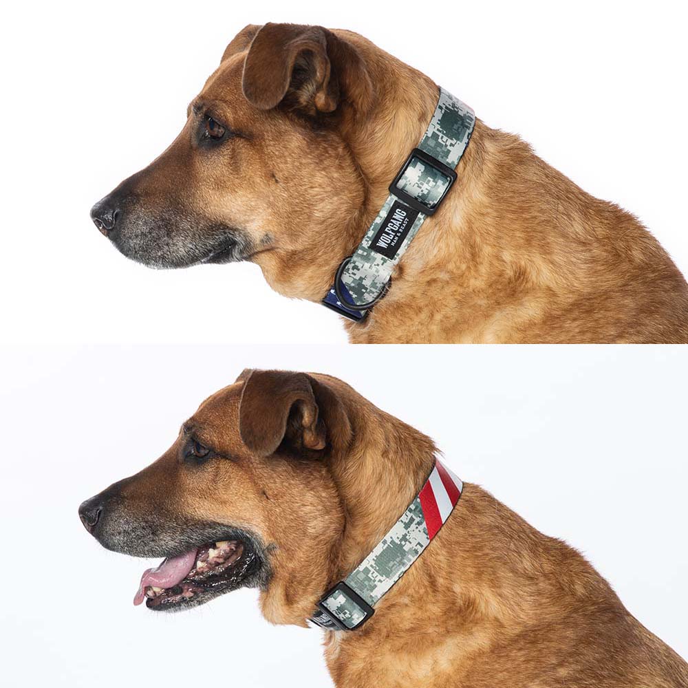 DigitalDog WIDE DOG COLLAR