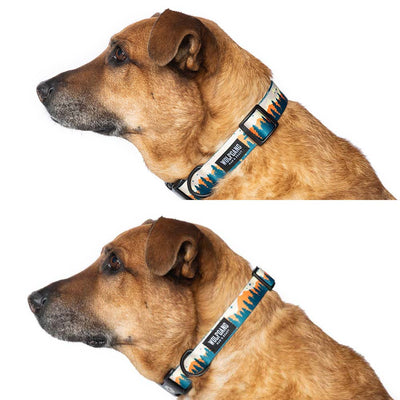 OverLand WIDE DOG COLLAR