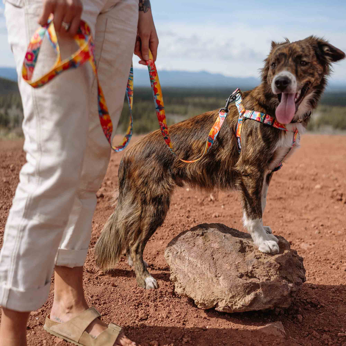 PackLeader DOG LEASH