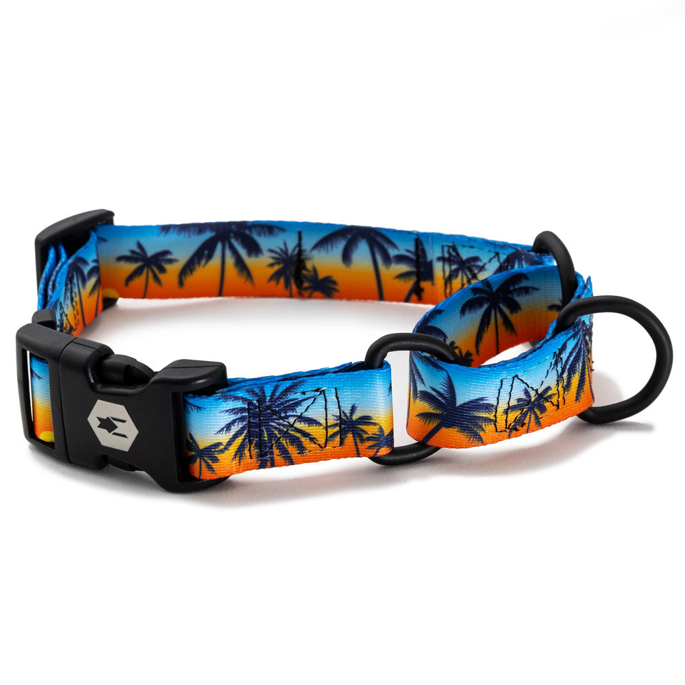 SunsetPalms MARTINGALE DOG COLLAR