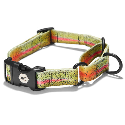 CutBow MARTINGALE DOG COLLAR Made in the USA by Wolfgang Man & Beast