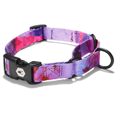 DayDream MARTINGALE DOG COLLAR Made in the USA by Wolfgang Man & Beast