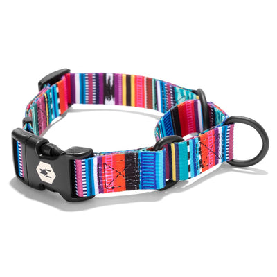 Quetzal MARTINGALE DOG COLLAR