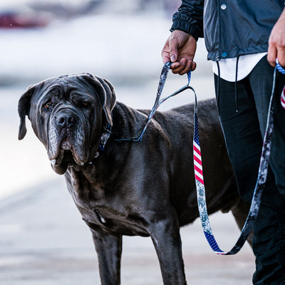 DigitalDog REACT DUAL-HANDLE DOG LEASH