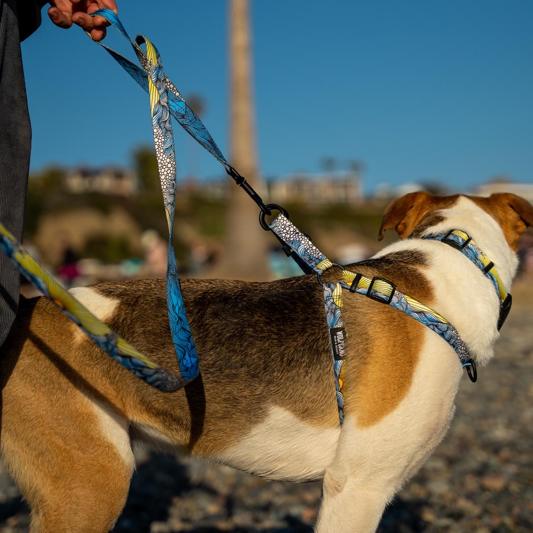 DawnPatrol REACT DUAL-HANDLE DOG LEASH