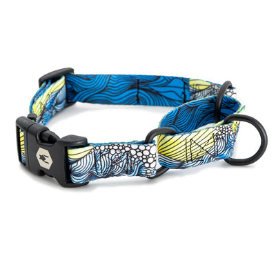 DawnPatrol MARTINGALE DOG COLLAR